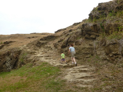 p1020505_cr.jpg