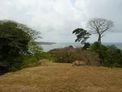 p1020511.jpg