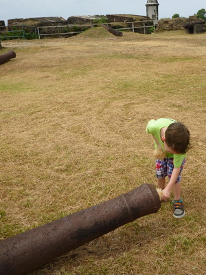 p1020514_cr.jpg