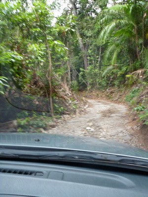 p1020546.jpg