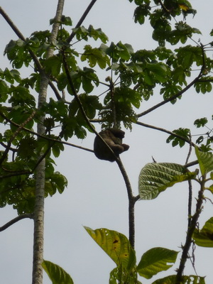p1020561_cr.jpg