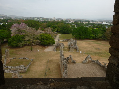 p1020585.jpg