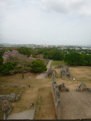 p1020590.jpg