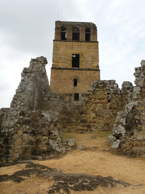 p1020593.jpg
