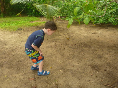 p1020614.jpg