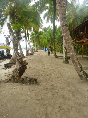 p1020615.jpg