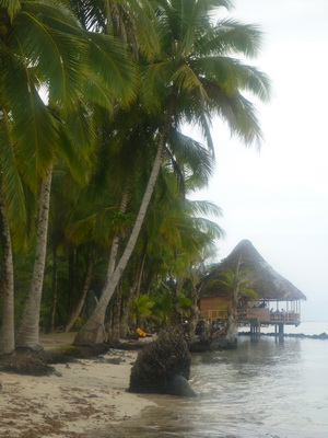 p1020623.jpg