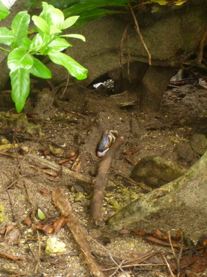 p1020629_cr.jpg