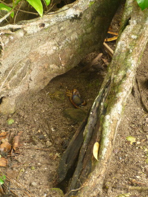 p1020630_cr.jpg