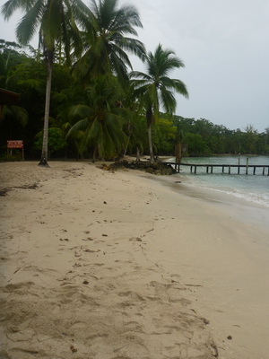 p1020633.jpg
