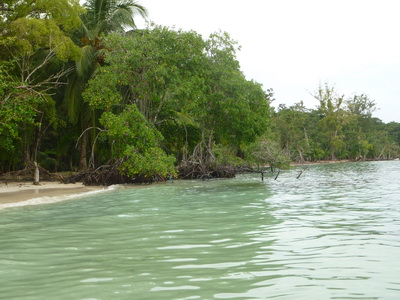 p1020651.jpg