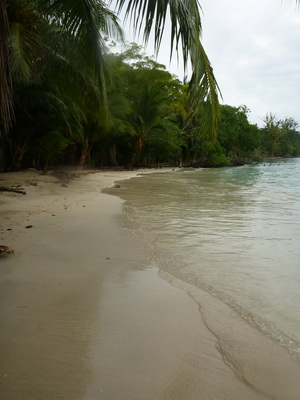 p1020661.jpg