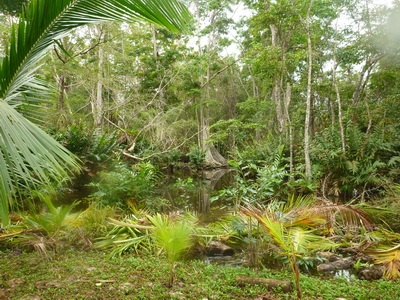 p1020665.jpg