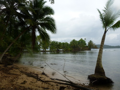 p1020666.jpg