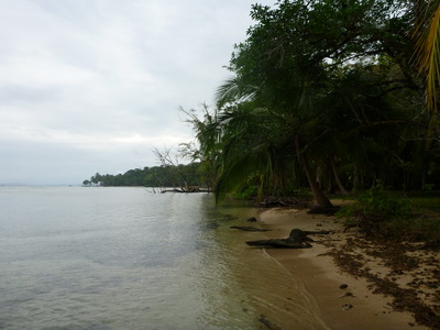 p1020669.jpg