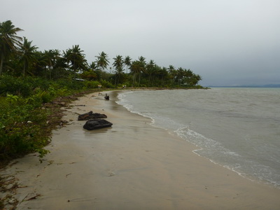 p1020691.jpg