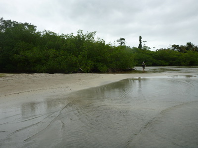 p1020699.jpg