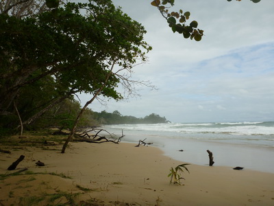 p1020731.jpg