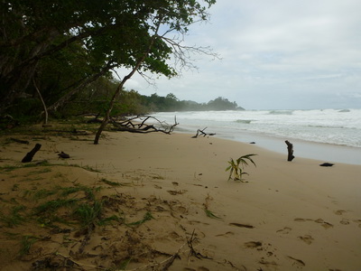 p1020737.jpg