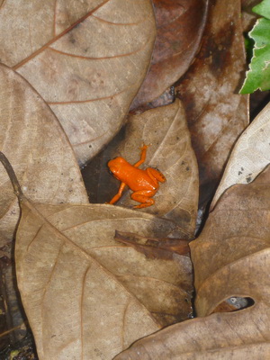 p1020752_cr.jpg