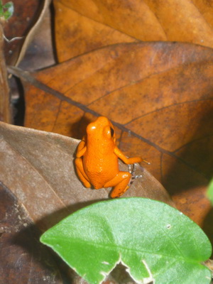 p1020753_cr.jpg