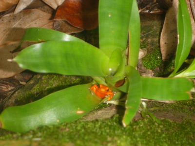 p1020757_cr.jpg