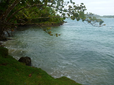 p1020759.jpg