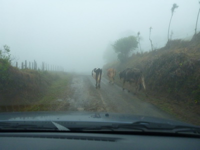p1020784.jpg