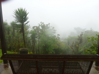p1020787.jpg