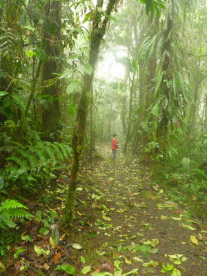 p1020822.jpg