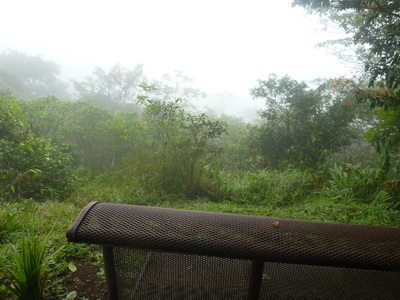 p1020831.jpg