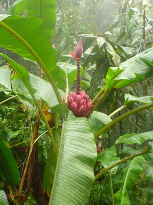 p1020832.jpg