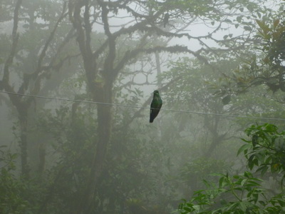 p1020859.jpg