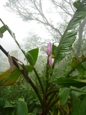 p1020875.jpg