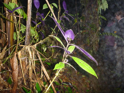 p1020882.jpg