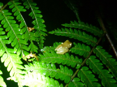 p1020889_cr.jpg
