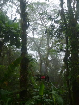 p1020899.jpg