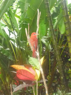 p1020945_cr.jpg