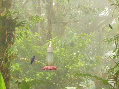 p1020980_cr.jpg