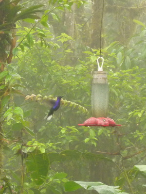 p1020986_cr2.jpg
