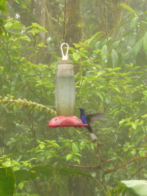 p1020994_cr.jpg
