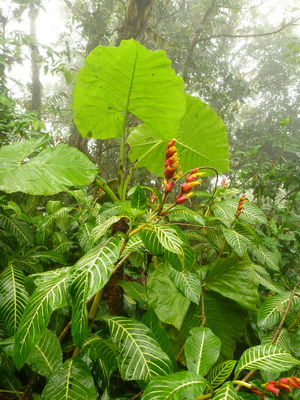 p1030003.jpg