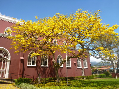 p1030011.jpg