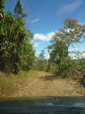 p1030016.jpg