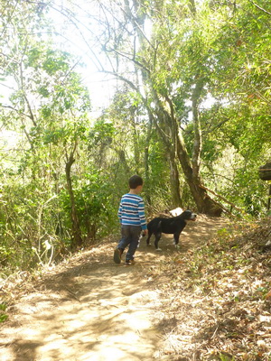 p1030021_cr.jpg