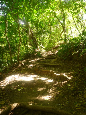 p1030025.jpg