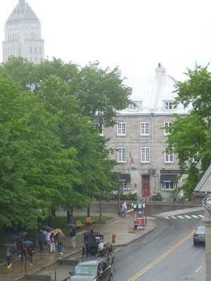 p1050010_cr.jpg