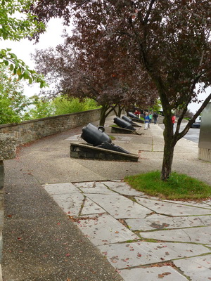 p1050027_cr.jpg