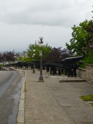 p1050030_cr.jpg