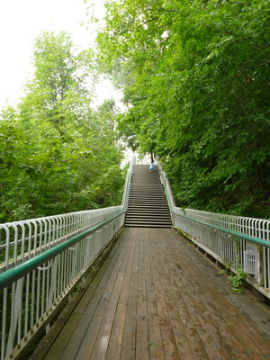 p1050038.jpg